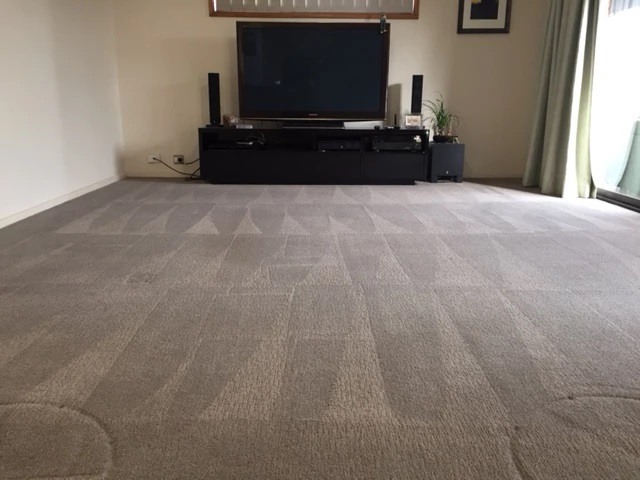 Spotless Carpet Cleaning Boulder Image